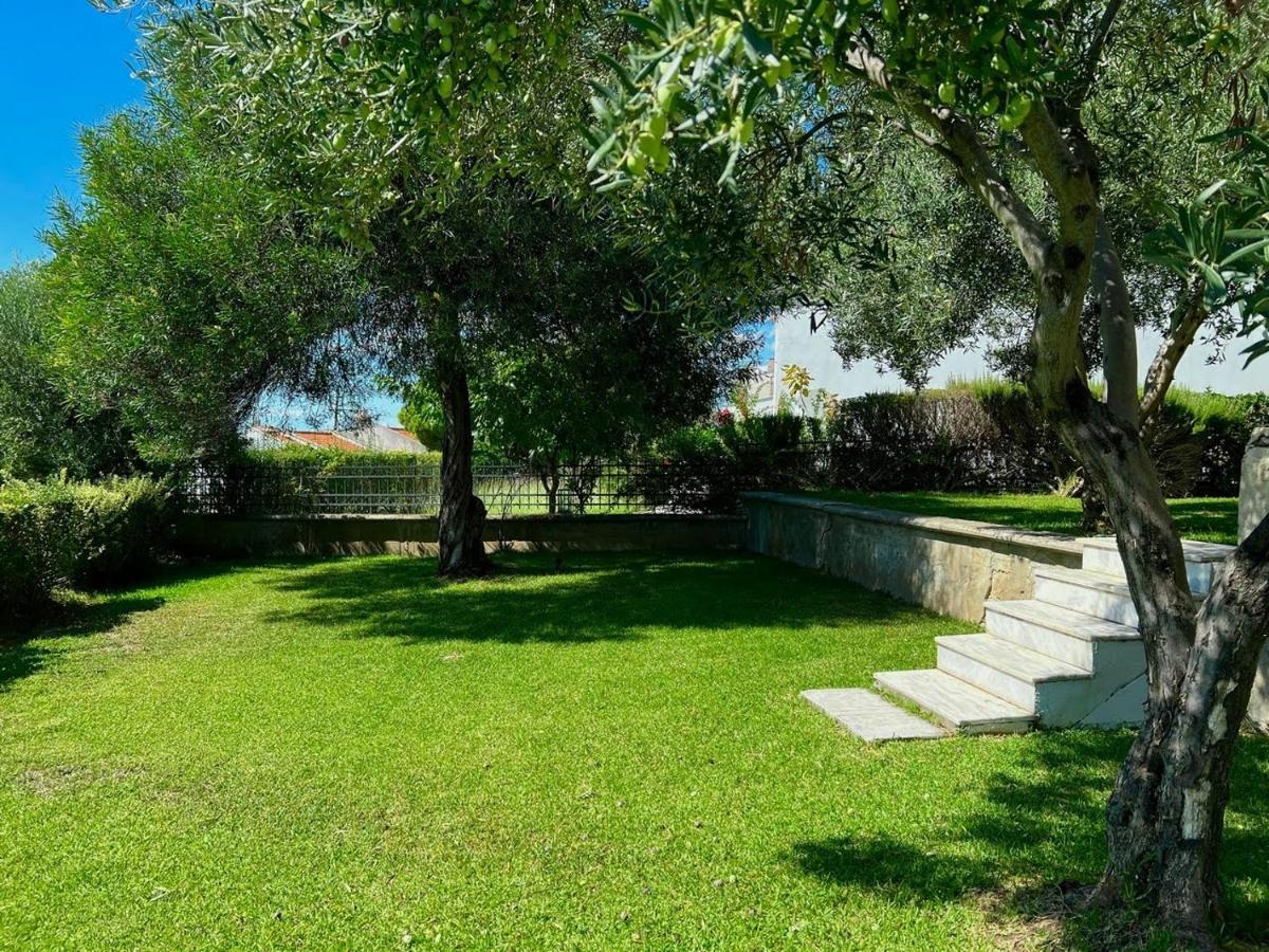 Villa Βianca In Sithonia Gerakini Exteriör bild